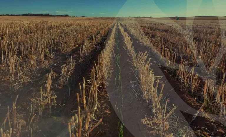 Mallee Sustainable Farming hero image on a mobile