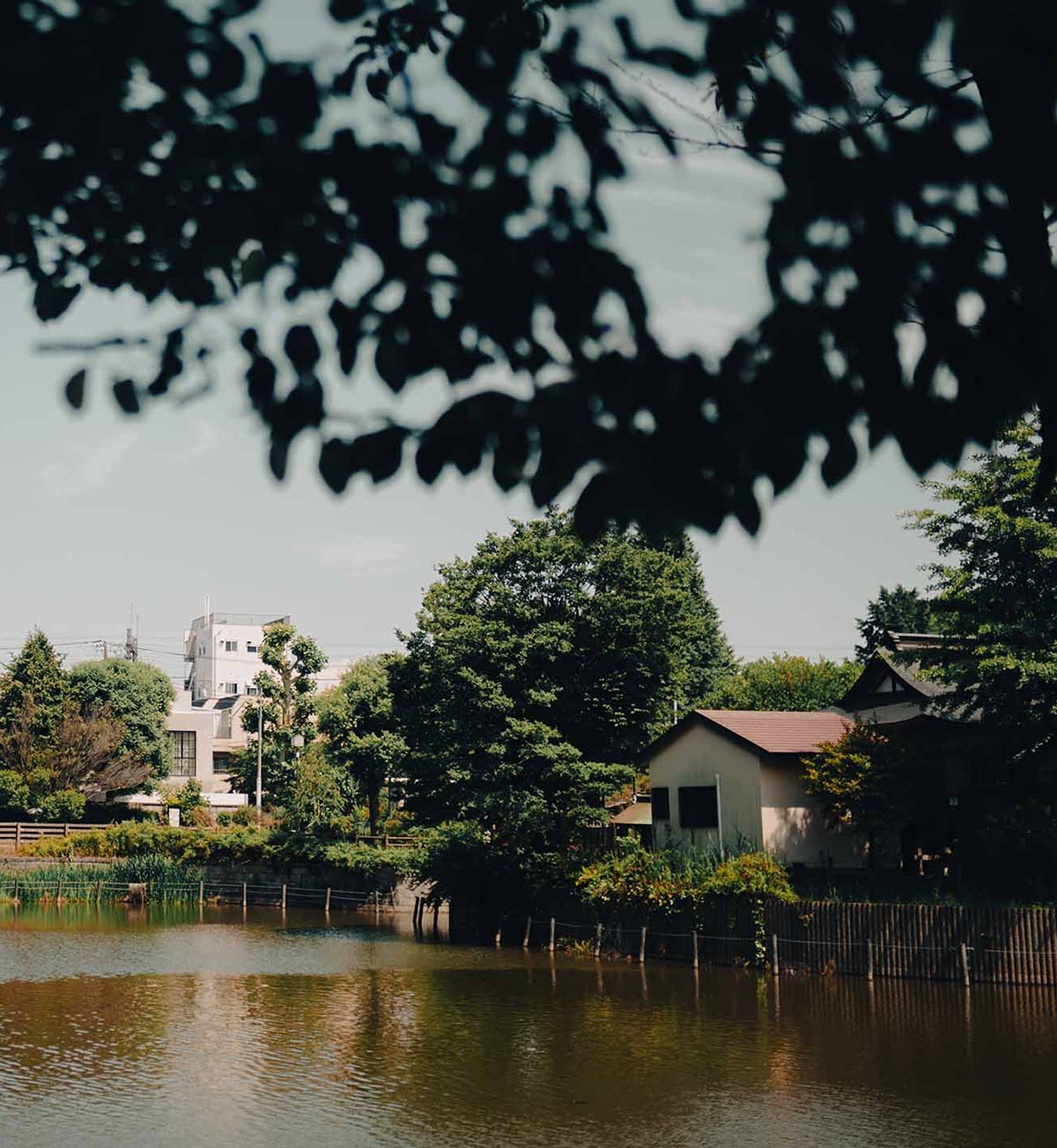 Capabilities at Redshift Creative - Photograph of a lake in Nakameguro, Japan. Photo by Harley Cummins.